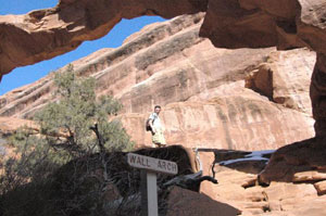 Arches Wall Arch