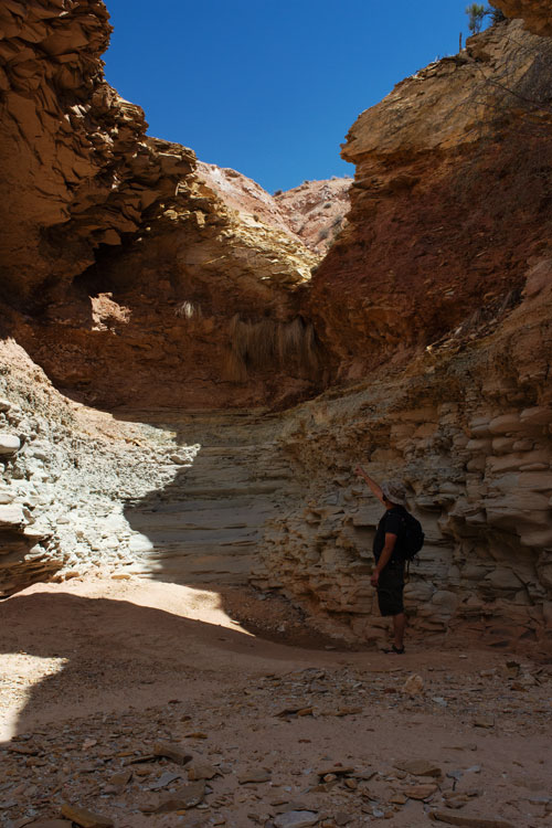 sheets gulch