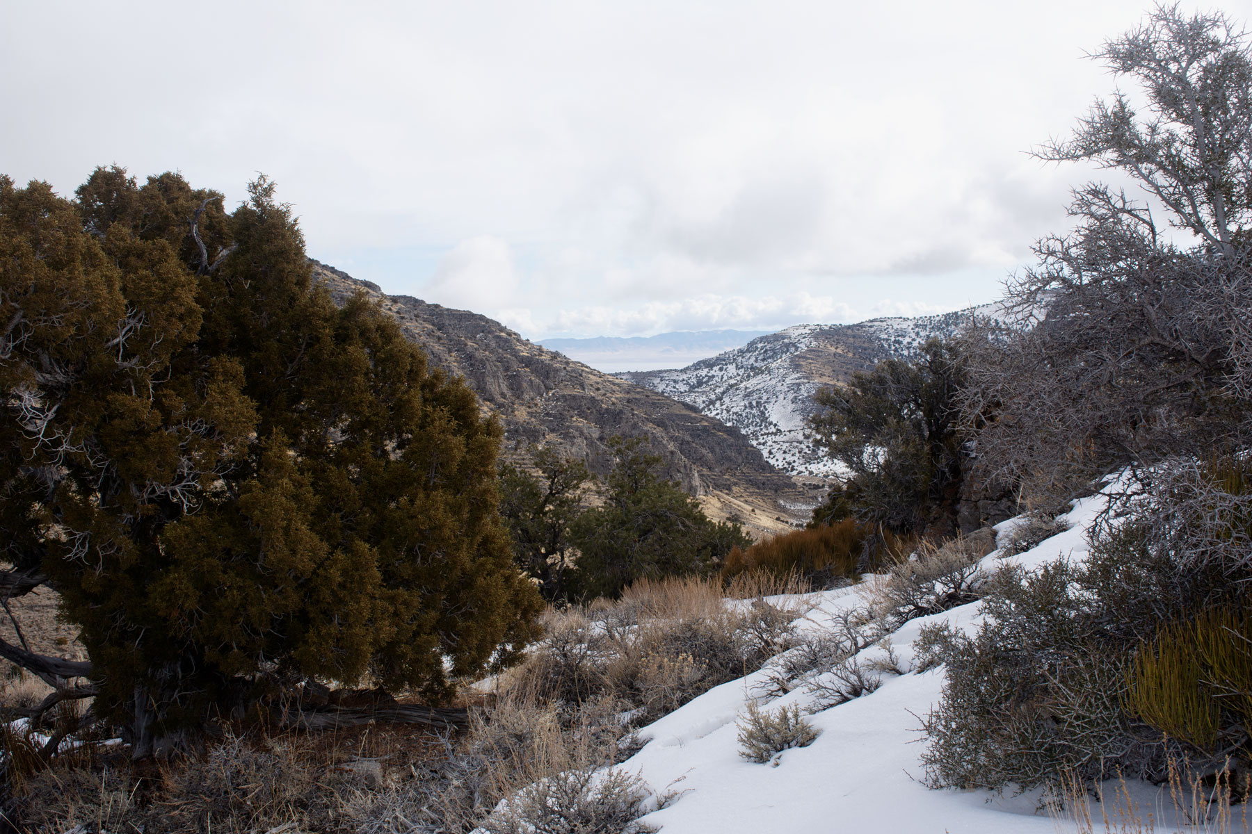notch peak view